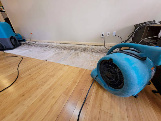Professional Burst Pipe Water Damage technician working in Butte Falls, OR